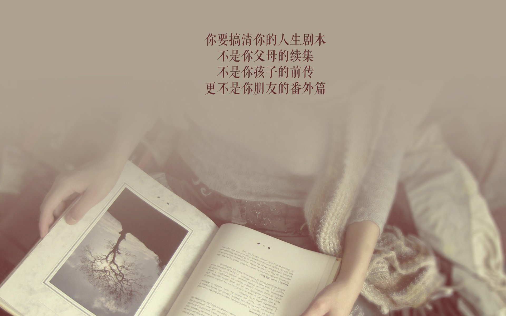 开云入口-夺冠热门实力出击，亚冠比赛精彩争夺，亚冠的赛制