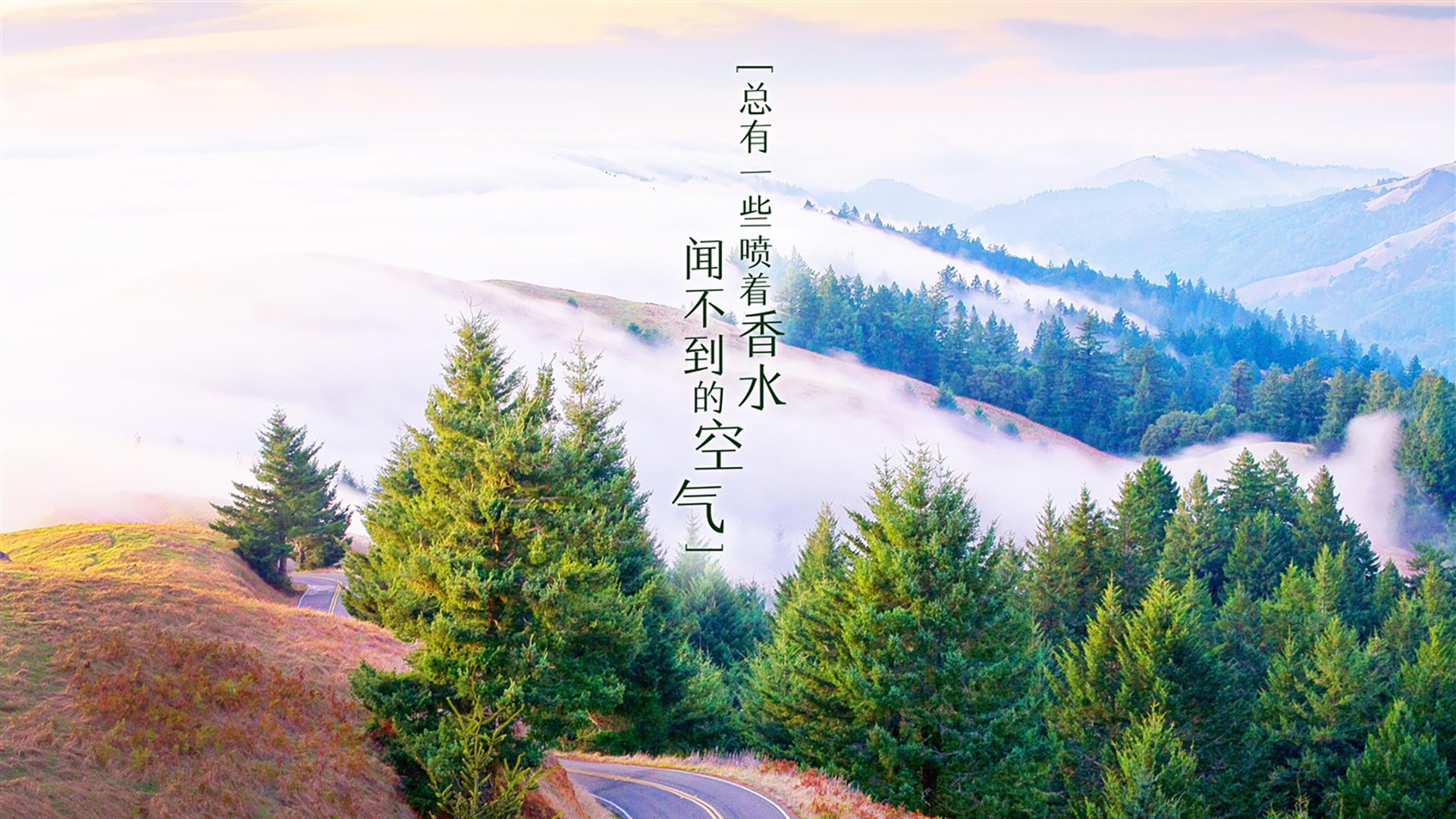 开云体育-职业联赛与青训体系如何更有效衔接，职业联赛的性质