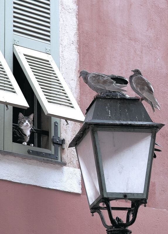 kaiyun开云·官方网站-世界杯终极对决:激情燃爆,英雄闪耀!,世界杯精彩对决