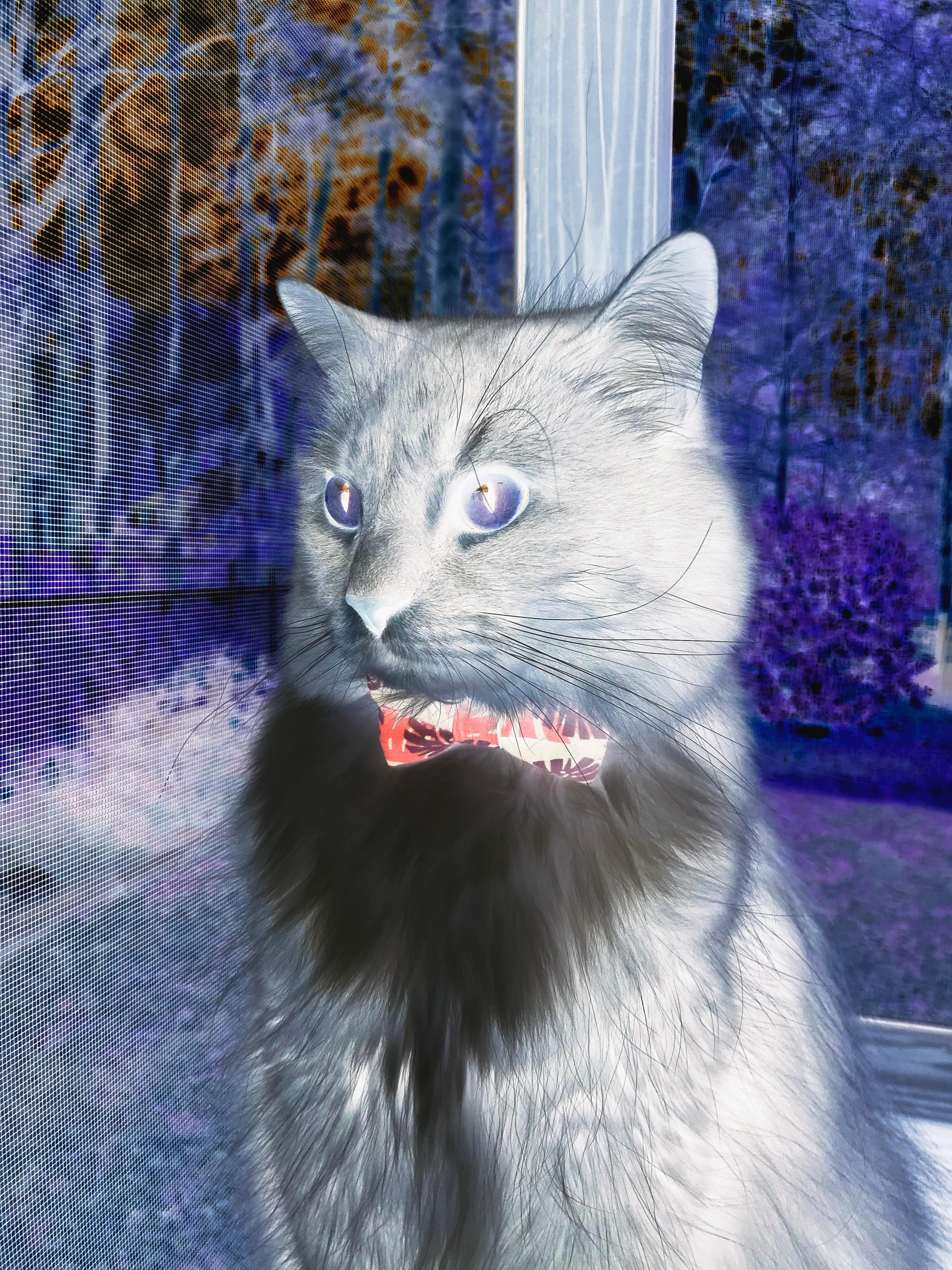 开云·体育官网-南非男篮在国际资格赛中拼尽全力,一路高歌