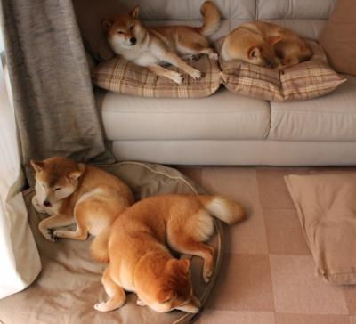 KAIYUNAPP-哈萨克斯坦男篮在亚洲预赛中表现稳健,期待突破