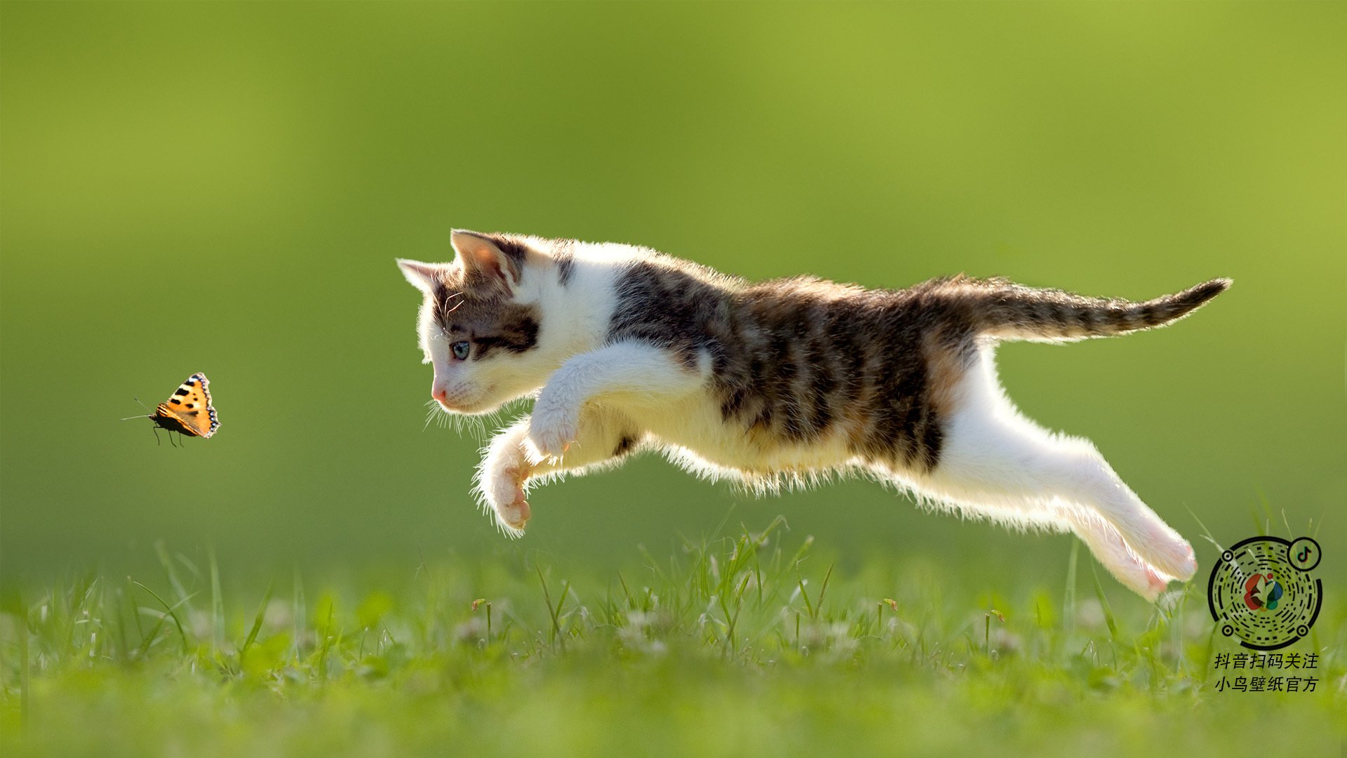 KAIYUN 中国大陆-女子篮球加大青训比重储备未来国家队力量，女子篮球队训练方法