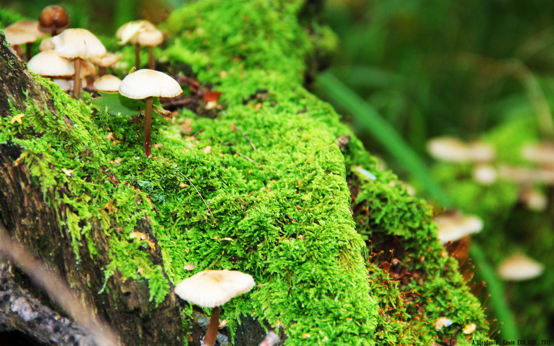 kaiyun.com-李娜称希望更多孩子走进球场，歌手李娜的孩子