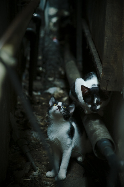 开云网页版登录入口-维尔·冯·威克:南非队锋线的力量源泉,为团队注入攻击活力,温·维尔冯