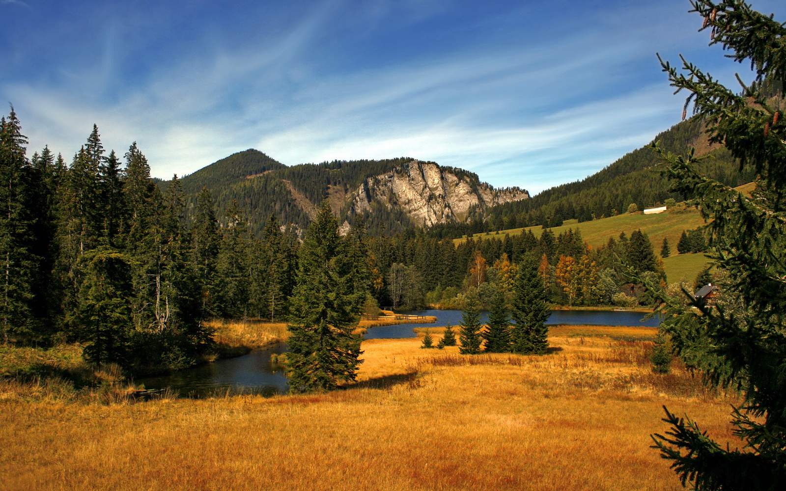 kaiyun官方网站-蛙泳冲刺中立代表队A稳中发力，蛙泳比赛出发视频