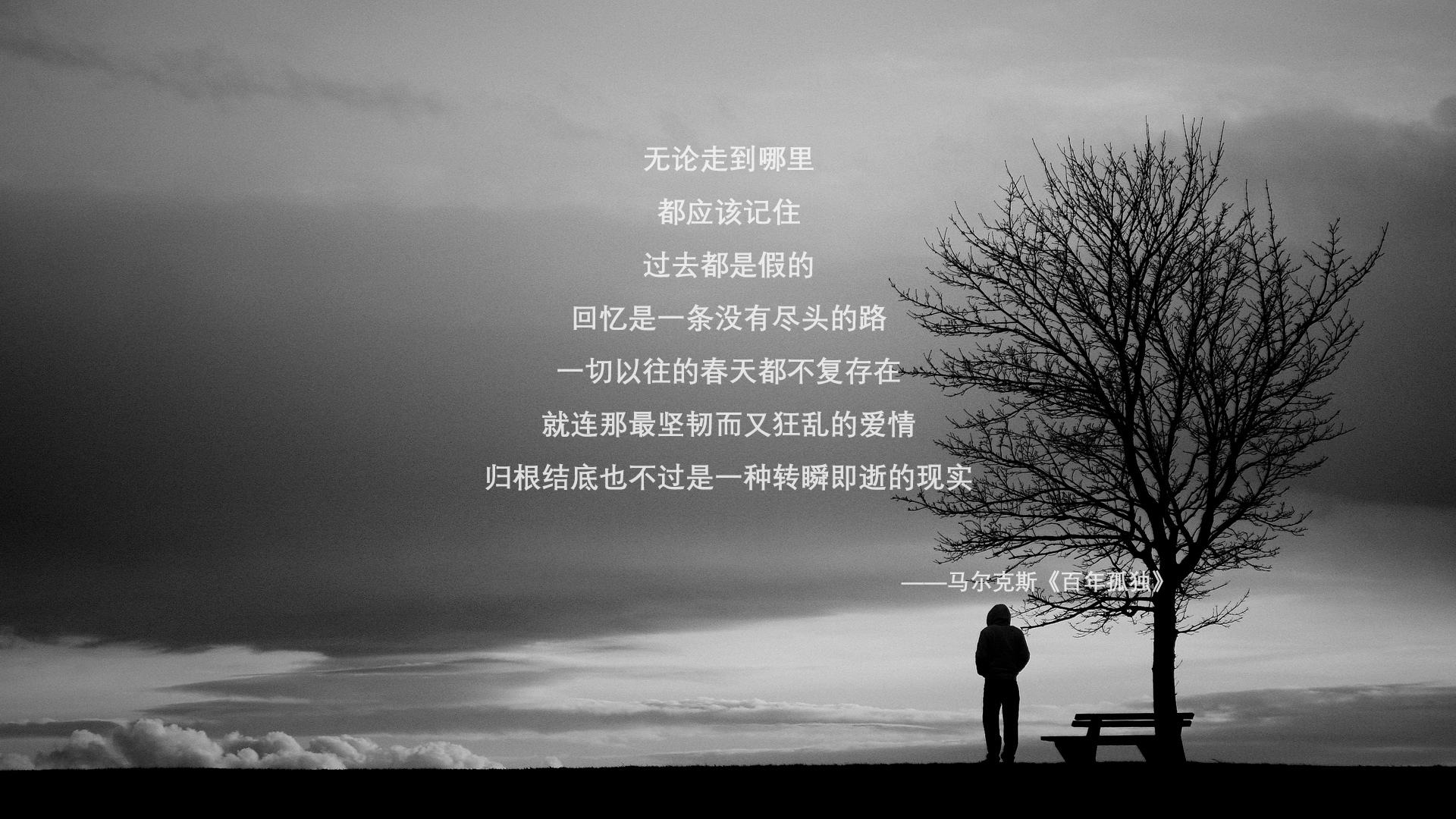 开云·体育官网APP下载-马里特·斯滕伯根赛场风采尽显未来潜力,马尔滕·斯特克伦博格