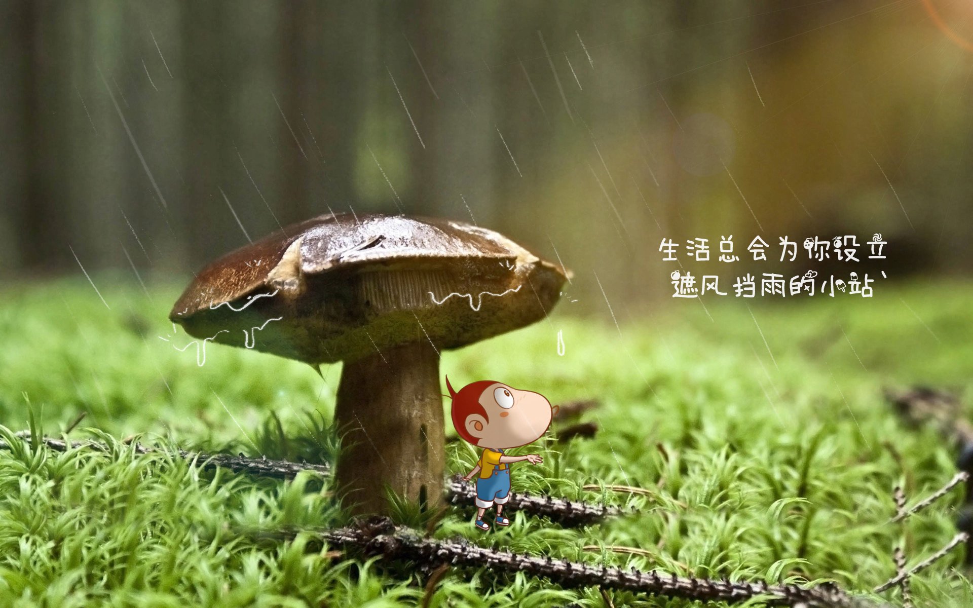 开云入口-《赛事后花絮：工作人员的辛勤与付出》，比赛后工作人员总结怎么写