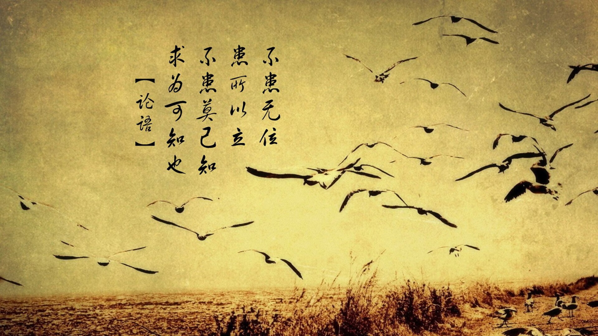 KAIYUNAPP-球队整体阵容再添新员，志在夺冠，球队更新换代