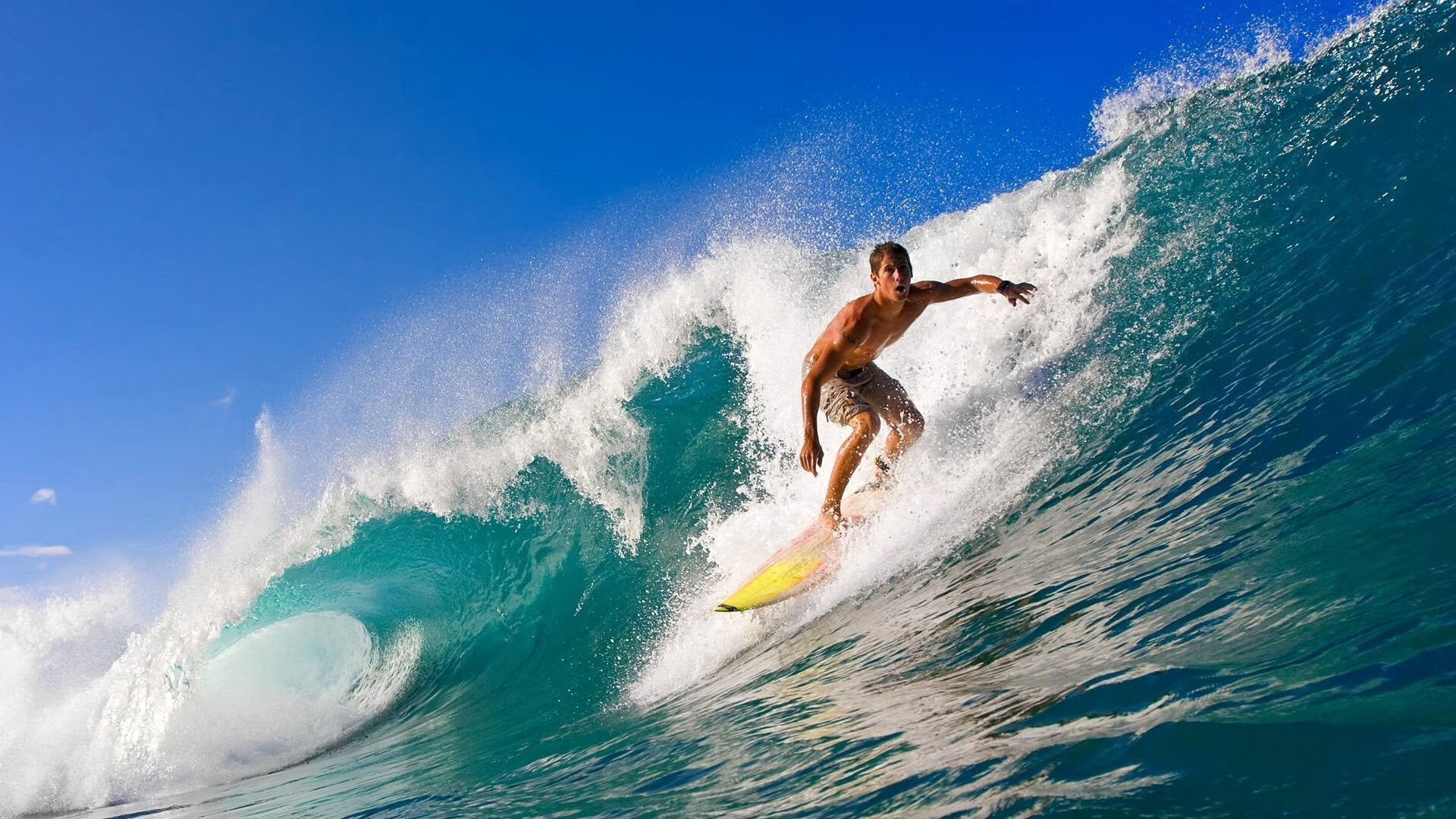 开云备用-青少年“梦想启程”国际交流项目在上海成功签约，开启国际合作新篇章